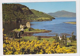 AK 043108 SCOTLAND - Eilean Donan Castle - Ross & Cromarty