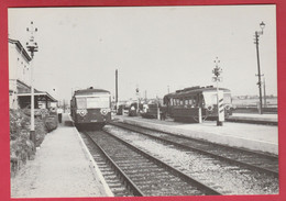 Piéton - Autorail Série 46 En Gare SNCB, Le 10 /07 /1959 ( Voir Verso ) - Chapelle-lez-Herlaimont