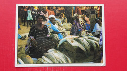 Le Marche De Poissons.Fish Market - Gambie