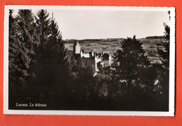 ZMH-17 Lucens Le Château En été  Photo Thévoz Sans Numéro..  NC - Lucens