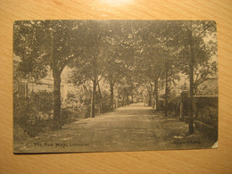 LEICESTER 1905 The New Walk Tree Trees Cancel Postcard ENGLAND UK GB - Leicester
