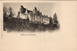 CPA MONTIGNY-le-GANNELON Chateau De Montigny (1201435) - Montigny-le-Gannelon
