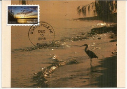 Crane Bird , Platte River. Nebraska. Maximum-Card - Cartas Máxima