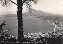 CASTELLAMMARE DI STABIA  /  Panorama Da Monte Faito _ Viaggiata - Castellammare Di Stabia