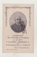 Temse (inhuldiging Alfred Andries - Burgemeester 1920) - Temse