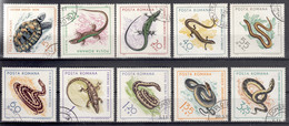 Romania 1965 Reptiles Snakes Mi#2377-2386 Used - Used Stamps