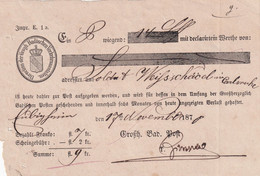 BADEN 1870 DOCUMENT POSTAL - Storia Postale