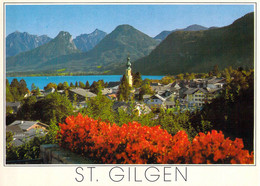 Saint Gilgen - Vue Sur Le Village - St. Gilgen