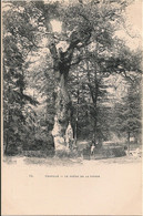 CHAVILLE : Le Chêne De La Vierge - Chaville