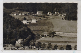 3542 WILLINGEN - SCHWALEFELD, Blick Zum Treis - Waldeck