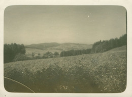 Orig. Foto 1930 Blick Vom Weg Aus Steinbühl Nach Bad Kötzting, Landkreis Cham, Bayerischer Wald - Cham