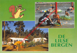 De Lilse Bergen - Lille - Lille