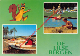 De Lilse Bergen - Lille - Lille