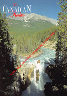 JASPER NATIONAL PARK - Sunwapta Falls - Canada - Jasper