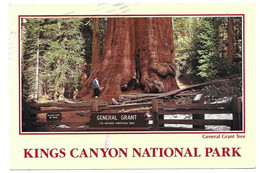 CA - CALIFORNIA  --  KINGS CANYON NATIONAL PARK - Kings Canyon