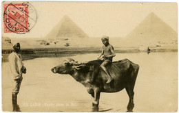 1917 Carte Photo Pyramides Egypte Le Caire Pour La Tunisie Tunis , Au Dos Cachet Ministère De La Guerre,Egypt Postage - El Cairo