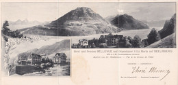 SUISSE - URI - SEELISBERG - Carte Panoramique Triptyque - Hotel Und Pension BELLEVUE Und Dépendance Villa Maria - Seelisberg