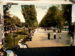 ENGLAND   BEDS - BEDFORD - THE PROMENADE N1919 IP6791 - Bedford