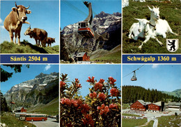 Säntis - Schwägalp - 6 Bilder (2351) * 12. 6. 1984 - Altri & Non Classificati