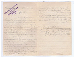 ALLEMAGNE - NÜRNBERG - Kriegsgefangenen-Sendung - Geprüft - Lager - 1917 - Lettre De Prisonnier - Dokumente