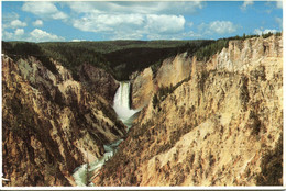 Etats Unis - Wyoming - Yellowstone National Park - Lower Falls - Ecrite, Timbrée - Yellowstone