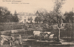 MONTAIGU LA CAILLAUDERIE ( Vaches Berger Fermier ) - Montaigu