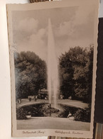 Delcampe - Cartolina Ballensted Harz Schlosspark Fontane - Ballenstedt