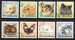 Hungary 1968. Animals / Cats Nice Set, Used ! Michel: 2387-2394 - Otros & Sin Clasificación