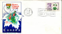 FDC Prince Edward Island - Sabot De La Vierge - Ottawa (Canada) - 21 VII 1965 - 1961-1970