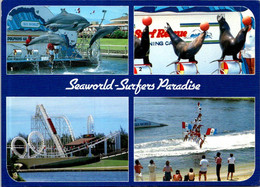 (1 H 13) Australia - QLD - Seaworld (posted 1985 With Int. Youth Year Stamp) - Gold Coast