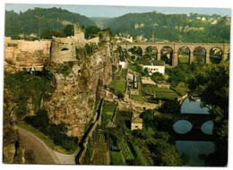 Luxembourg - Rochers Du Bock Avec Les Fortifications - Luxembourg - Ville