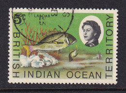 British Indian Territory (BIOT): 1968/70   QE II - Marine Life   SG16    5c   Used - Territoire Britannique De L'Océan Indien