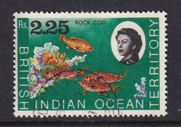 British Indian Territory (BIOT): 1968/70   QE II - Marine Life   SG27    R2.25   Used - British Indian Ocean Territory (BIOT)