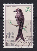 British Indian Territory (BIOT): 1975   Birds   SG62    5c   Used - Territorio Británico Del Océano Índico