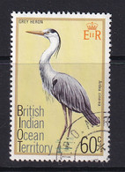 British Indian Territory (BIOT): 1975   Birds   SG69    60c   Used - Territoire Britannique De L'Océan Indien