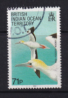 British Indian Territory (BIOT): 1990   Birds   SG99    71p   Used - British Indian Ocean Territory (BIOT)