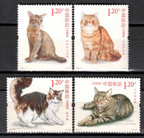 China 2013 / Mammals Cats MNH Gatos Mamíferos Chats Katzen Saugëtiere / In56  5-26 - Hauskatzen