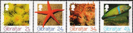 Gibraltar - 1994 - Marine Life - Mint Stamp Set - Gibraltar