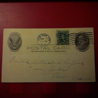 ENTIER UNITED STATES OF AMERICA NEW YORK THE HORSELESS AGE POUR PARIS - Cartas & Documentos