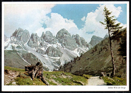 C6187 - Stubaital Kalkögelgruppe - Verlag Carl Werner Reichenbach - Neustift Im Stubaital