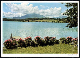 C6103 - Faakersee Kärnten - Verlag Carl Werner Reichenbach - Faakersee-Orte