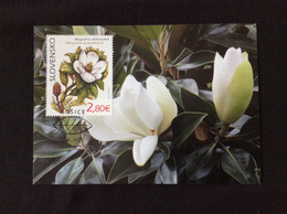 Slovaquie 2020 Carte Maximum Magnolia  Grandiflora Jardin Botanique De Kosice - FDC