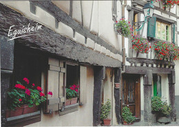 68 - (Haut-Rhin) - EGUISHEIM - Les Remparts Nord - Other & Unclassified