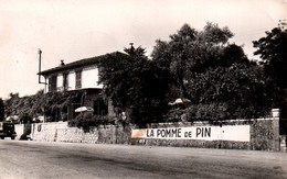Roquefort-les-Pins (Alpes-Maritimes) Restaurant La Pomme De Pin, Tabacs - Edition Etoile D'Azur - Carte N° 264 - Hotels & Restaurants