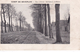 Beverloo - Rue L'Olivier. Habitations D'officiers - Beringen