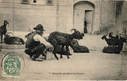 CORSE -- CHEVRIER ET CHEVRES --  A. Guittard, 1907 - En Très Bon état - Ajaccio