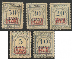Errors & Variety -- Porto  GERMANY  Occupation  Of  ROMANIA     ,, M.V.i.R. ,,  1918 MNH - Mi. 1-5 - Fiscaux