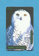 ( 5636 ) - Télécarte TURQUIE - ( Oiseau HIBOU & CHOUETTE ) - *** EC *** - Voir Scan - Owls