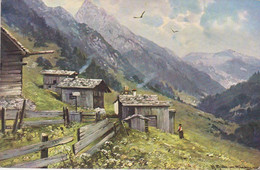 A. Müller Illustrateur Vogels Animaux  Folklore Old Cpa. - Müller, August - München