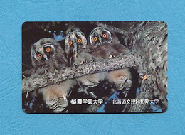 ( 5642 ) - Télécarte JAPON - ( Oiseau HIBOU & CHOUETTE ) - *** TBE *** - Voir Scan - Búhos, Lechuza